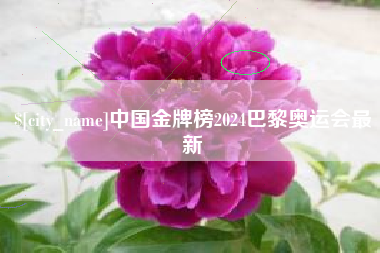 江西中国金牌榜2024巴黎奥运会最新