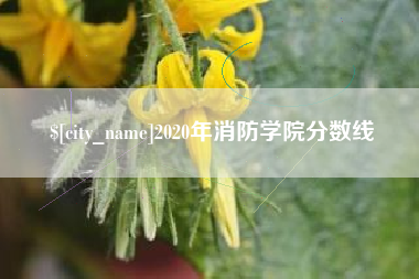 江西2020年消防学院分数线