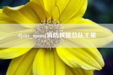 江西消防救援总队王星