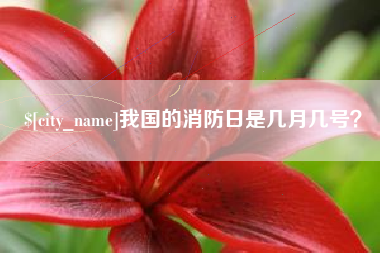 江西我国的消防日是几月几号？