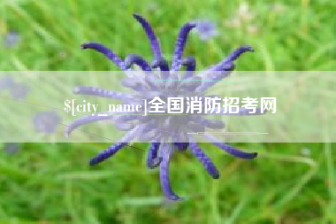 江西全国消防招考网