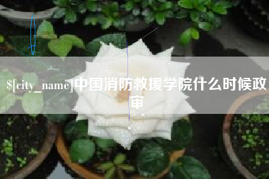 江西中国消防救援学院什么时候政审