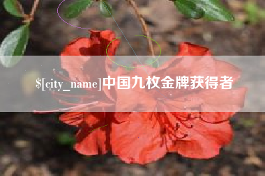 江西中国九枚金牌获得者