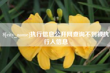 江西执行信息公开网查询不到被执行人信息