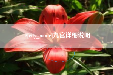 江西九宫详细说明