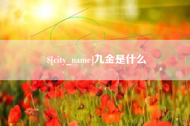 江西九金是什么
