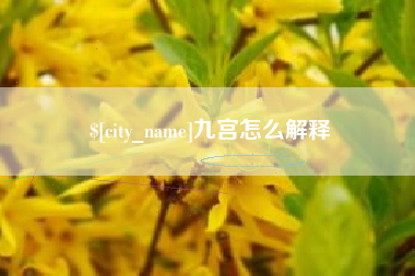 江西九宫怎么解释