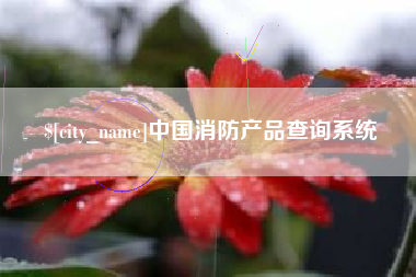 江西中国消防产品查询系统