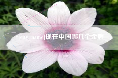 江西现在中国哪几个金牌