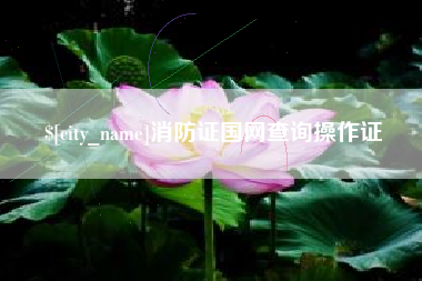 江西消防证国网查询操作证
