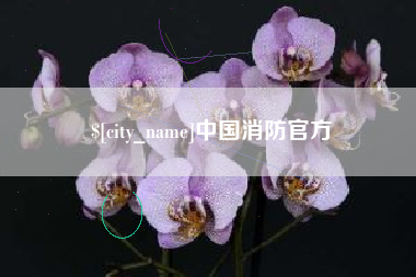 江西中国消防官方
