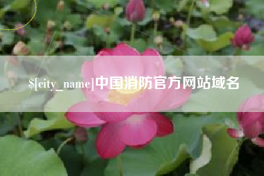 江西中国消防官方网站域名