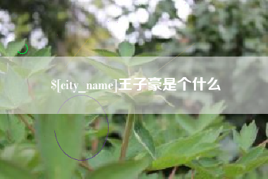 江西王子豪是个什么