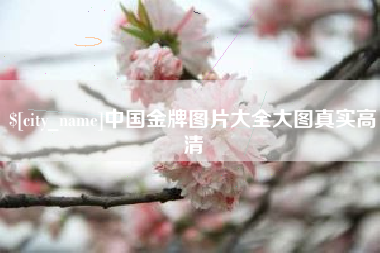 江西中国金牌图片大全大图真实高清