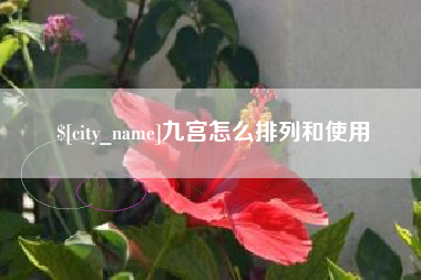 江西九宫怎么排列和使用
