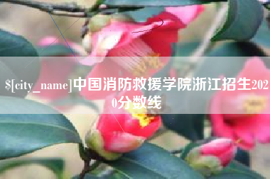江西中国消防救援学院浙江招生2020分数线