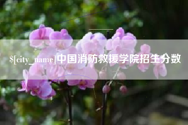 江西中国消防救援学院招生分数
