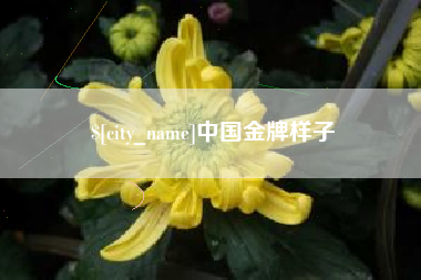 江西中国金牌样子
