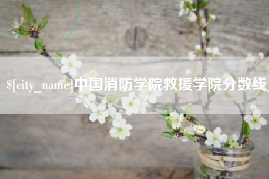 江西中国消防学院救援学院分数线