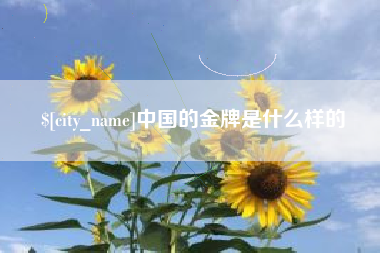 江西中国的金牌是什么样的
