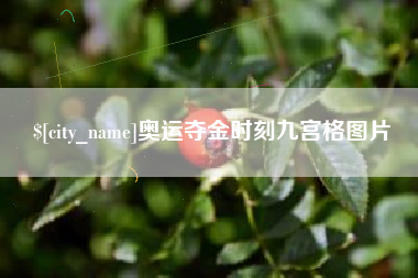 江西奥运夺金时刻九宫格图片