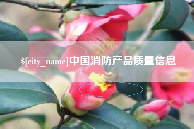 江西中国消防产品质量信息