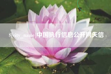 江西中国执行信息公开网失信