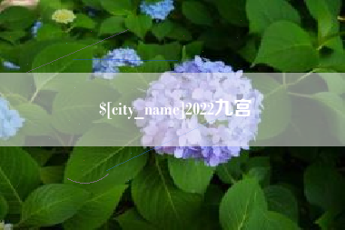 江西2022九宫
