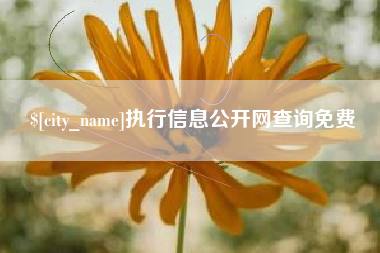 江西执行信息公开网查询免费