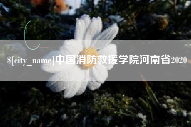 江西中国消防救援学院河南省2020